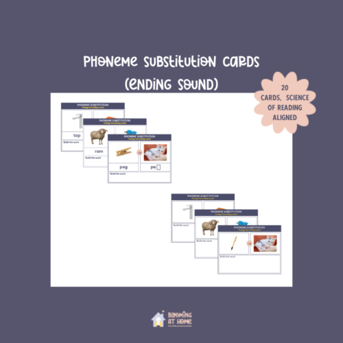 phoneme-substitution-activity-cards-ending-sound-blooming-at-home